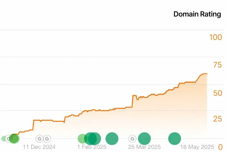 Your Domain Rating grows